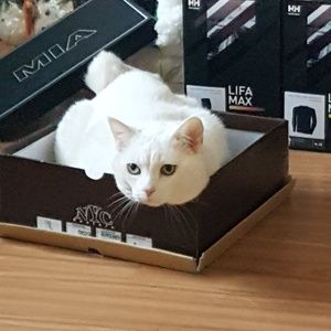 Meet your Posher, Maxine